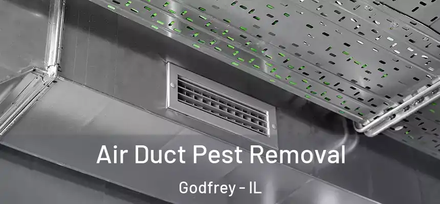  Air Duct Pest Removal Godfrey - IL