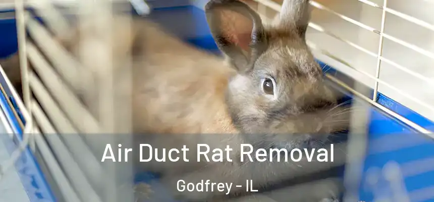  Air Duct Rat Removal Godfrey - IL