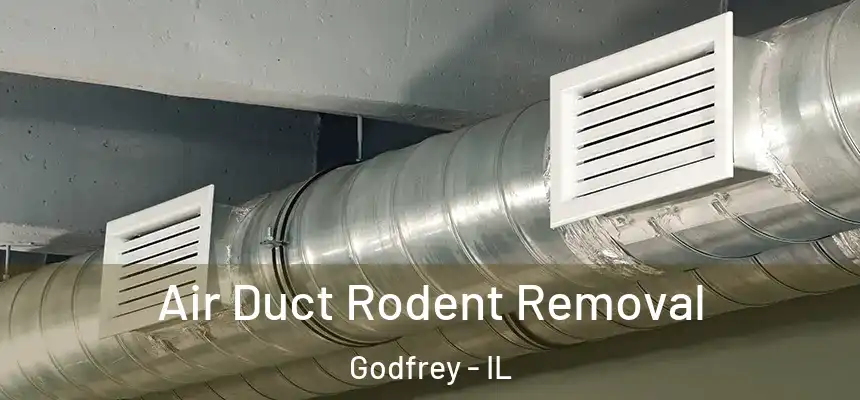  Air Duct Rodent Removal Godfrey - IL