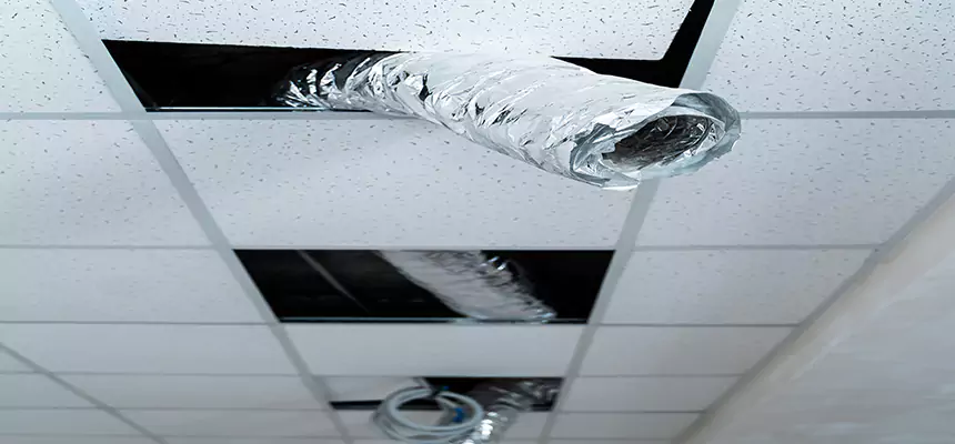 Our Air Duct Pet Hair Removal Services in Godfrey, IL