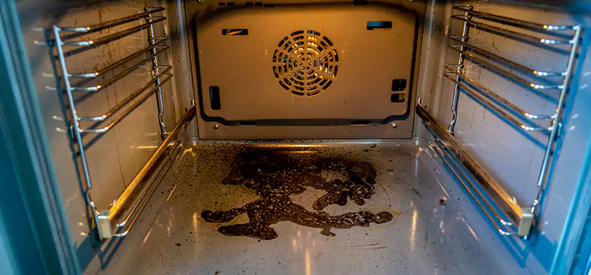 Our Dryer Vent Mold Cleaning Services in Godfrey, IL