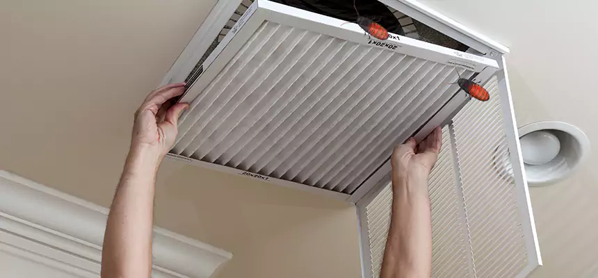 Our Insect Removal from Air Ducts Services in Godfrey, IL