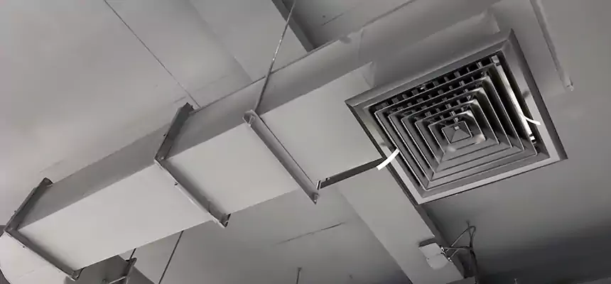 Our Pest Removal From Ducts Services in Godfrey, IL