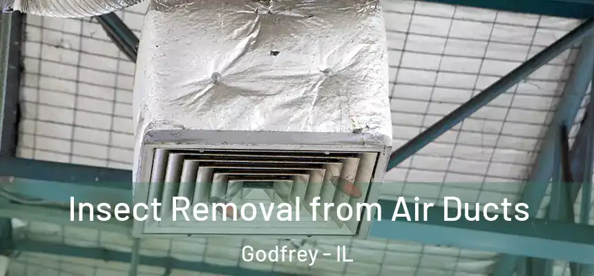 Insect Removal from Air Ducts Godfrey - IL