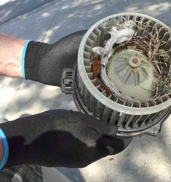 About Air Duct Rat Removal in Godfrey, IL