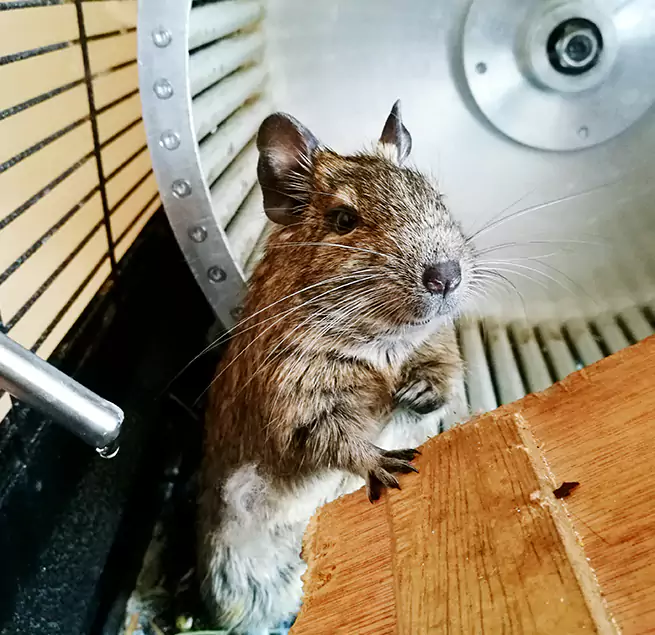 Why Homeowners & Businesses Trust Us Godfrey, IL?